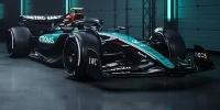 Foto zur News: 50 Jahre Petronas: Mercedes mit Sonderdesign in Singapur