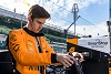 Foto zur News: Sauber sucht neue IndyCar-Chance für Theo Pourchaire