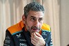 Foto zur News: Interview: Was hat McLaren so runtergezogen, Andrea Stella?