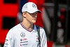 Foto zur News: Mick Schumacher: Wer von denen ist wirklich besser als er?