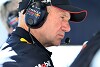 Foto zur News: McLaren-Boss Zak Brown: Wir brauchen Adrian Newey nicht!