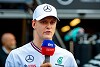 Foto zur News: Marc Surer: Bevor Audi Bottas nimmt, sollen sie lieber Mick