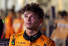 Foto zur News: Experten diskutieren: Ist Lando Norris mental zu schwach für