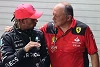 Foto zur News: Vasseur: Hamiltons Erfahrung wird Ferrari entscheidend