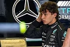 Foto zur News: Toto Wolff: Antonelli fährt 2025 nicht um die Formel-1-WM