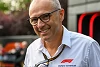 Foto zur News: Stefano Domenicali: Wo die Formel 1 am stärksten wächst