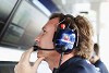 Foto zur News: Horner blickt gespannt auf das Stallduell bei Toro Rosso