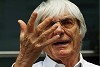 Foto zur News: Ecclestone kritisiert Amnesty International