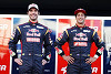 Foto zur News: Vergne #AND# Ricciardo: Wer empfiehlt sich für Red Bull?
