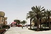 Foto zur News: Bahrain: Die Wüste lebt