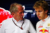 Foto zur News: Marko: &quot;Deutsche Fahrer machen Vettel das Leben nicht