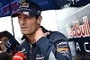 Foto zur News: Webber: Keine Befriedigung in der aktuellen Formel 1