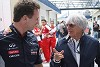 Foto zur News: Horner: &quot;Keinen Besseren als Ecclestone&quot;