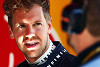 Foto zur News: Vettel: &quot;Ricciardo macht weniger Fehler&quot;