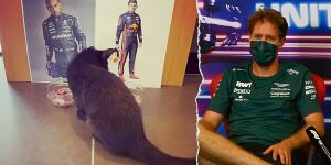 Foto zur News: Medientag im Re-Live: Das steckt hinter Vettels Gridstrafe!