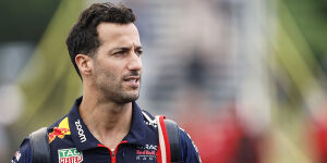 Foto zur News: AlphaTauri: Ricciardo nur eine Option, falls kein Junior