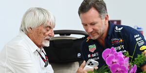 Foto zur News: Ecclestone vermutet Intrige gegen Horner: &quot;Die wollen ihn