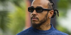 Foto zur News: Lewis Hamilton verortet &quot;rassistisches Element&quot; in