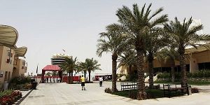 Foto zur News: Bahrain: Die Wüste lebt