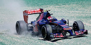 Foto zur News: Toro Rosso: Rookie und Antrieb schlagen sich gut