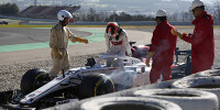 Foto zur News: Sauber-Rookie Leclerc lernt auf und neben der Strecke