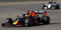 Foto zur News: AlphaTauri: &quot;Wollen keinen anderen Motor als Red Bull&quot;