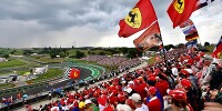 Foto zur News: Ungarn Grand Prix Grandstand-Guide 2021: Welche Tribüne ist die Beste?