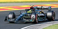 Foto zur News: Rennvorschau Ungarn: Bricht Lewis Hamilton die Red-Bull-Dominanz?