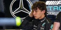 Foto zur News: Toto Wolff: Antonelli fährt 2025 nicht um die Formel-1-WM