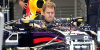 Foto zur News: Vettel: &quot;Hoffentlich ist Suzie nicht zu durstig&quot;