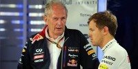 Foto zur News: Marko über Vettel-Wechsel: &quot;Der Zeitpunkt ist optimal&quot;