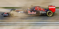 Foto zur News: Toro Rosso mit solidem Start ins Jahr : Was kommt da noch?