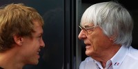 Foto zur News: Sebastian Vettel fordert von Ecclestone &quot;günstigere Tickets&quot;