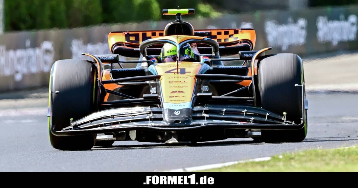 Lando Norris Nächster großer McLarenSchritt erst 2024 oder 2025