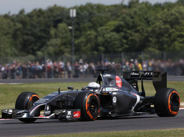 Foto zur News: Van der Garde durchgeschüttelt: "Einer meiner größten Unfälle"