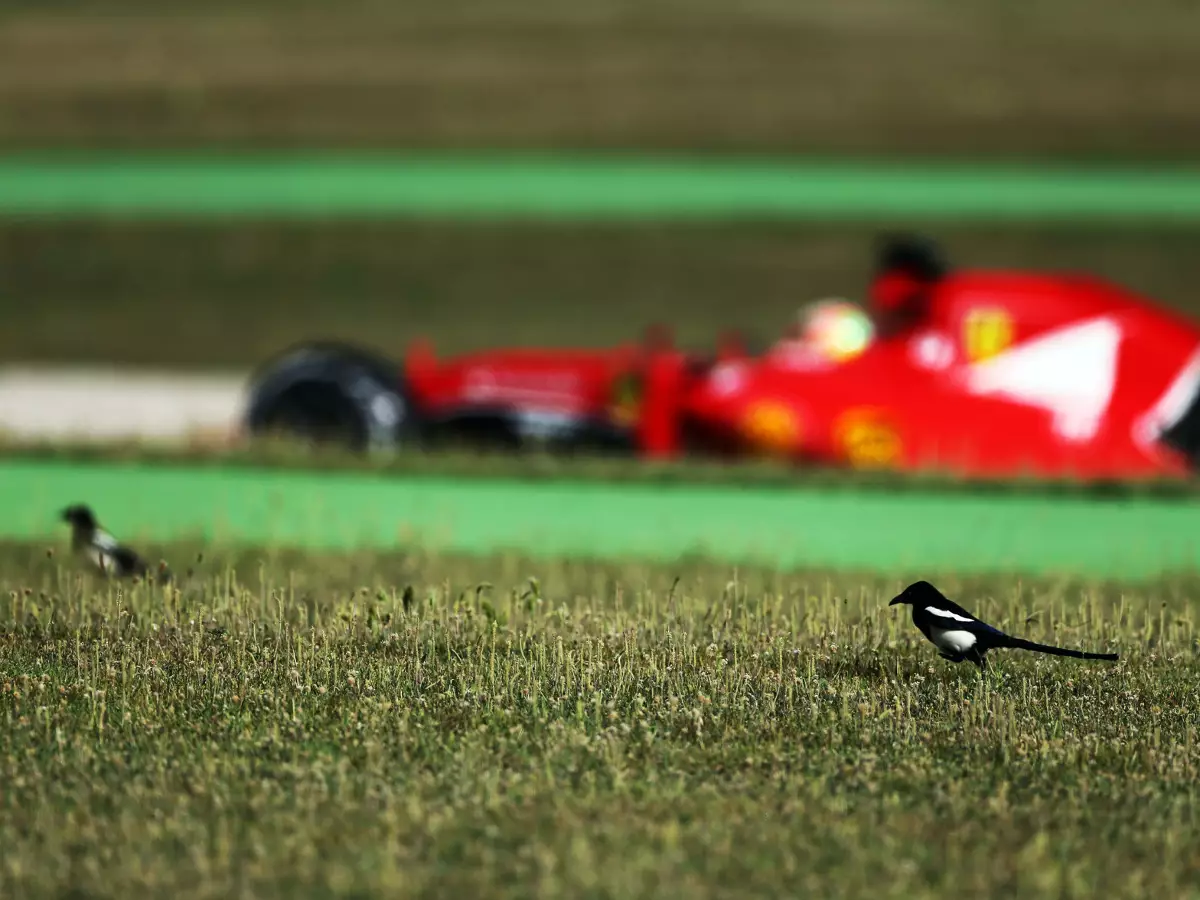 Foto zur News: Testfahrten: Barcelona und Silverstone vor Zuschlag