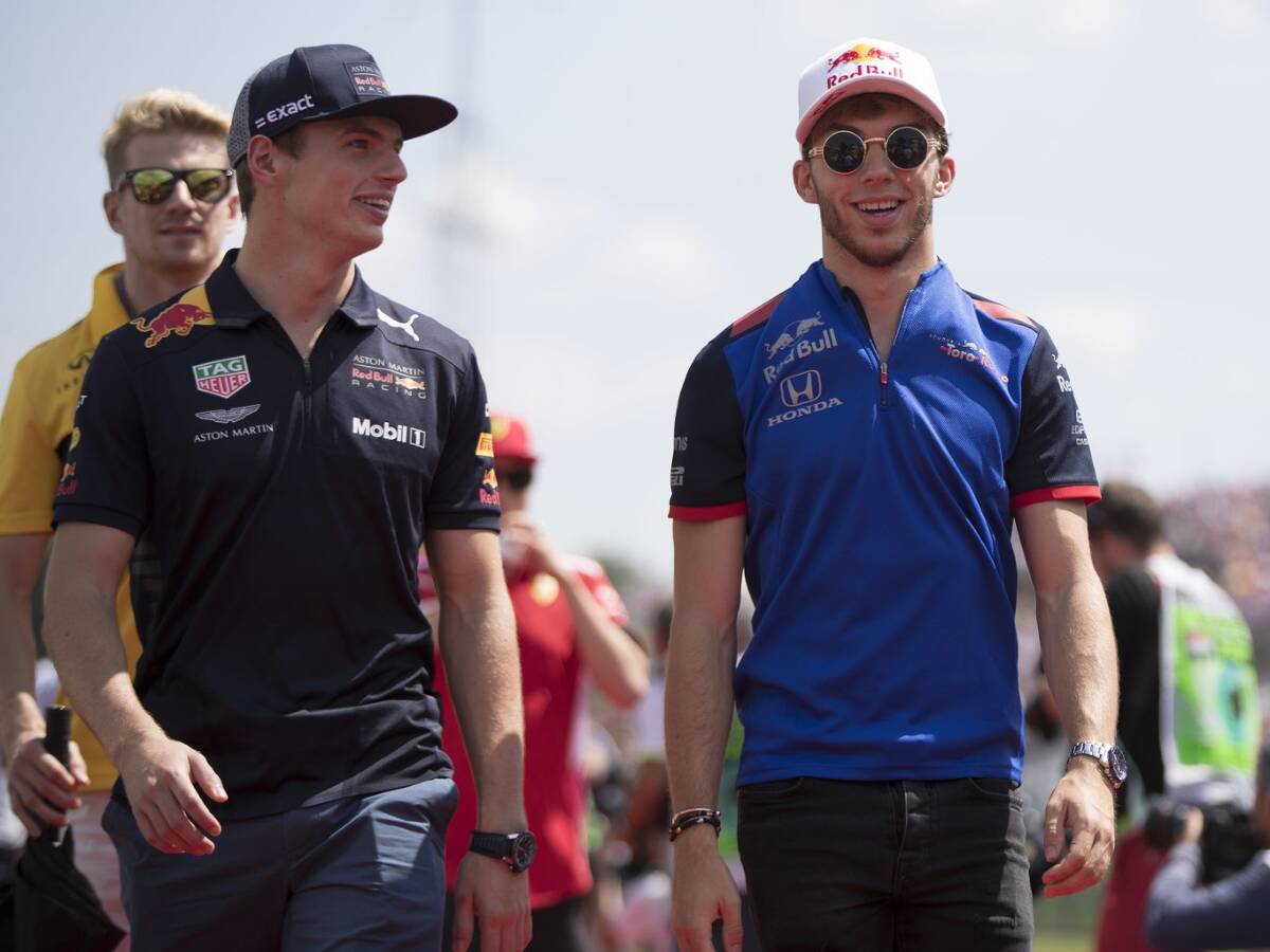 Foto zur News: Pierre Gasly: Gegen Max Verstappen wird's spannend!