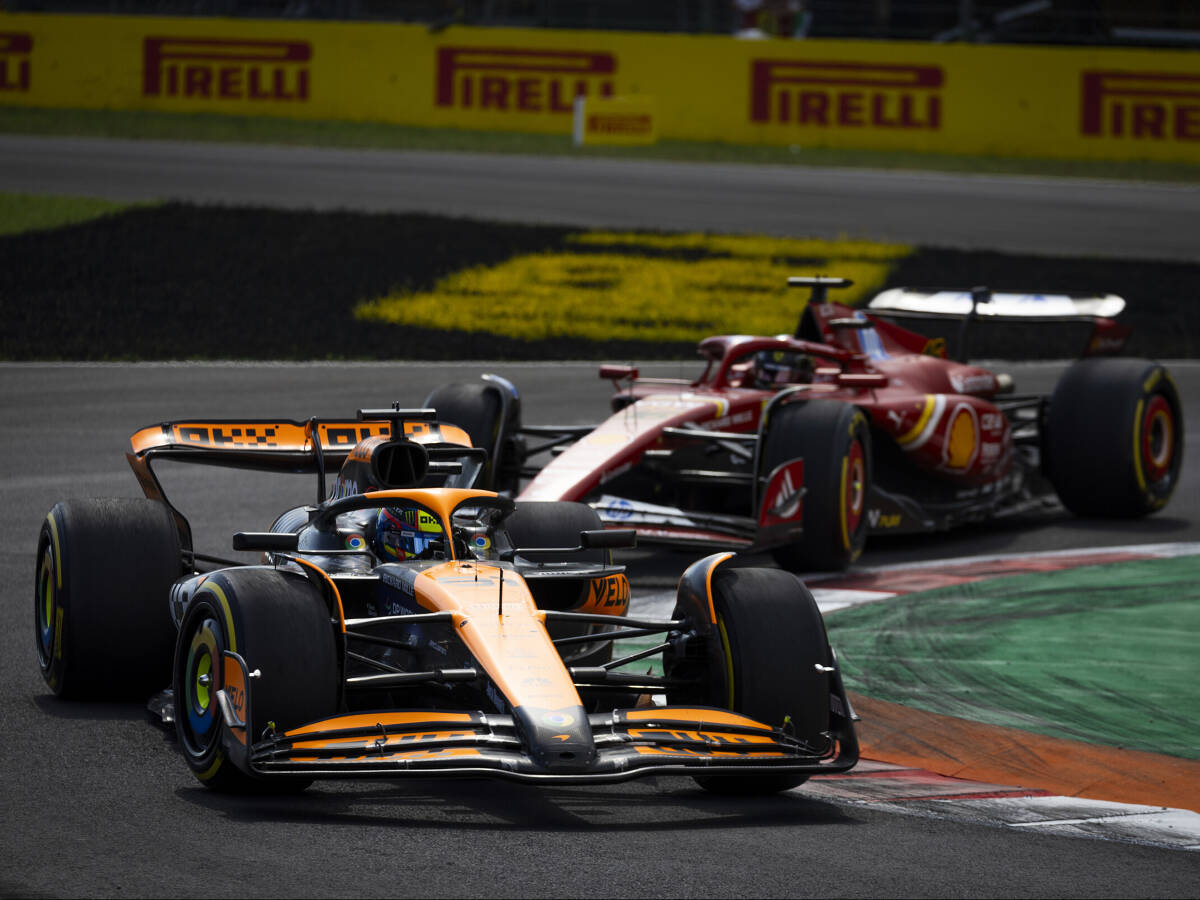 Foto zur News: Andrea Stella verteidigt sich: Ferrari war in Monza genauso schnell wie McLaren