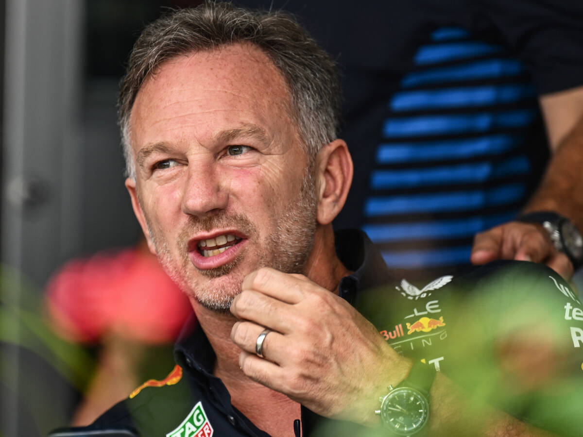 Foto zur News: Christian Horner: FIA-Untersuchung soll nur "Paranoia befriedigen"