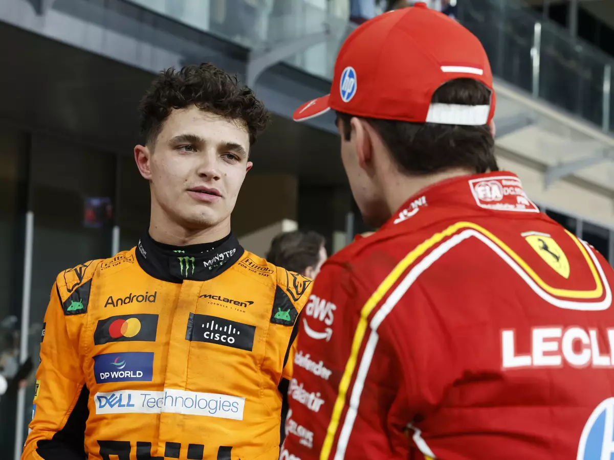 Foto zur News: Lando Norris: "Für eine Minute dachte ich, das sieht nicht gut aus ..."