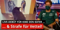 Foto zur Video: Strafe für Vettel: Handicap vor dem US-Grand-Prix!